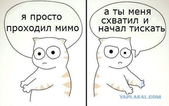 Как завести себе друга?