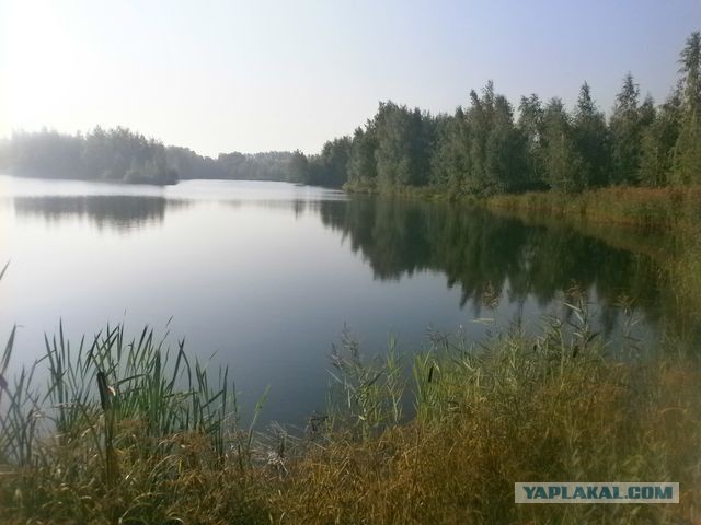 Голубая вода 2014