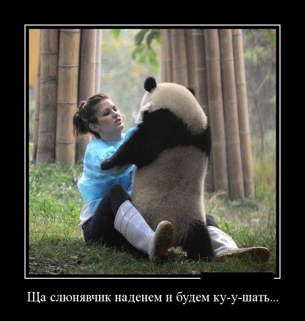 Cмешные баяны