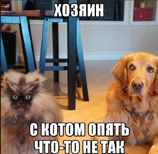 Весёлые картинки на субботу