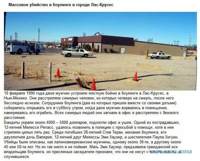 20 фактов обо всем