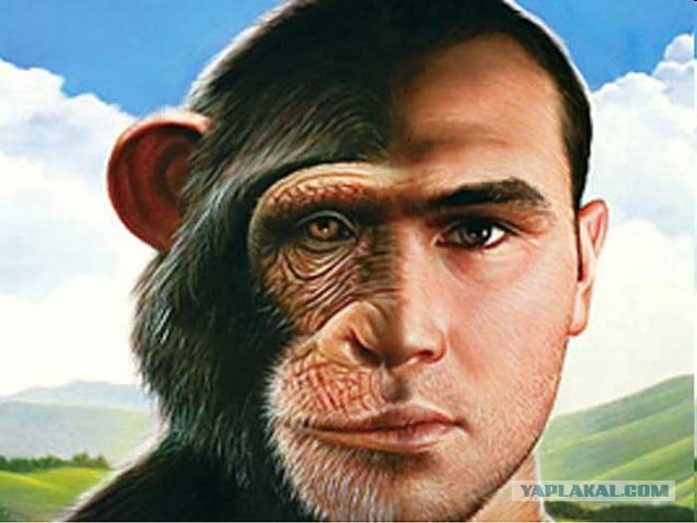 Южане обиделись, что их не пропустили....