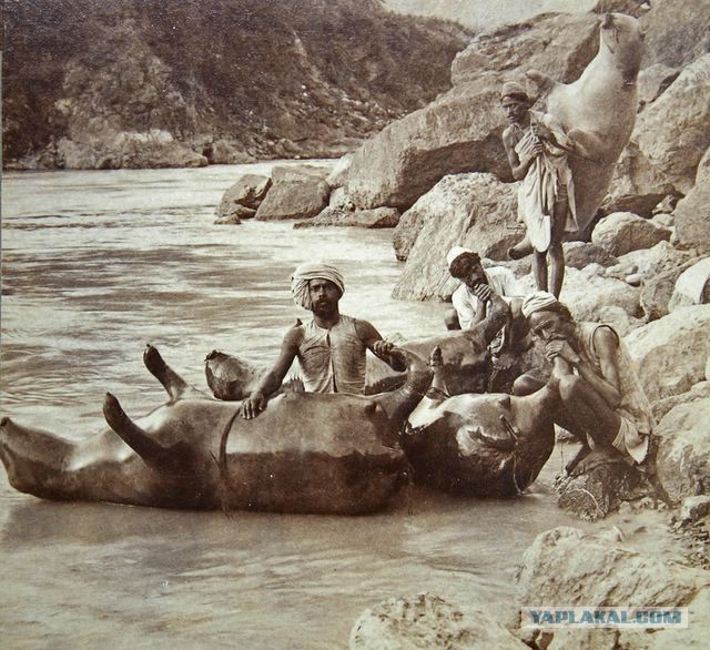 25 исторических фотографий из прошлого