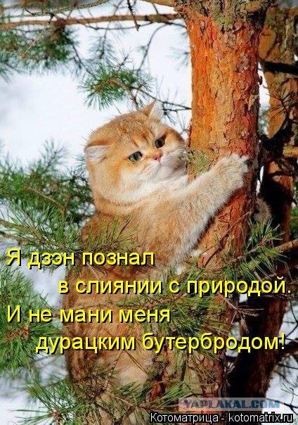 Самые чудные и курьёзные фотографии 2015 года