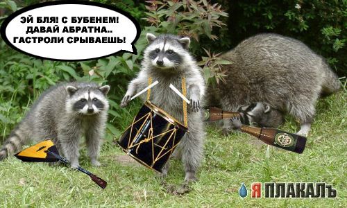 Разборки