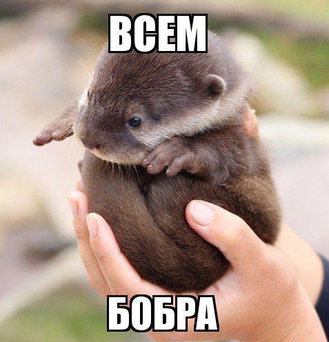Невероятные научные факты, которые растопят ваше сердце