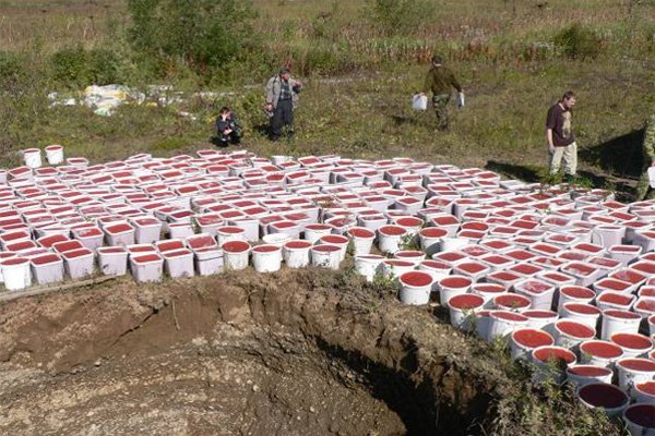 Показательная конфискация и уничтожение 4х тонн красной икры