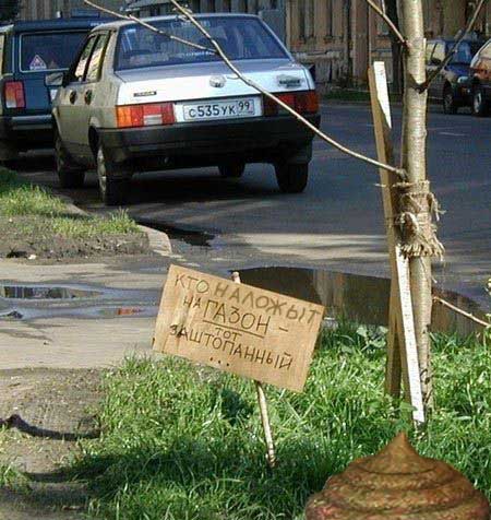 ВЫВЕСКИ, ТАБЛИЧКИ. Смешные и прикольные