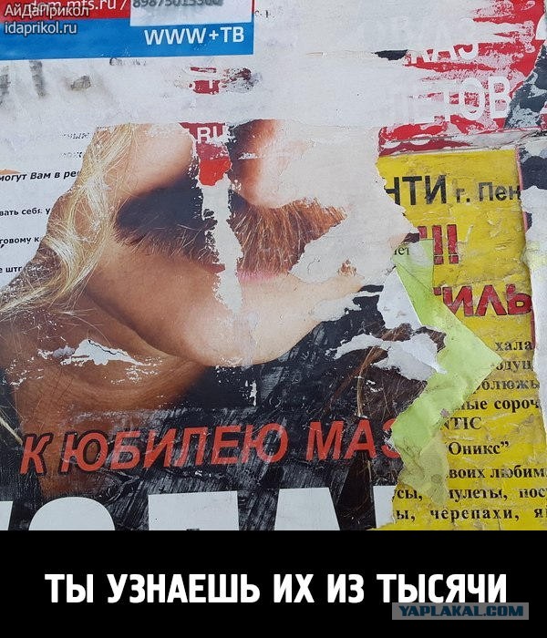 Картинки, демотиваторы и прочие приколы с просторов необъятного
