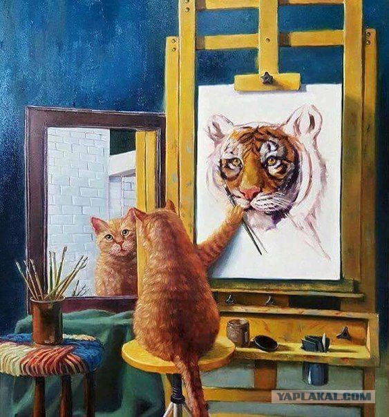 Подборка интересных и веселых фото