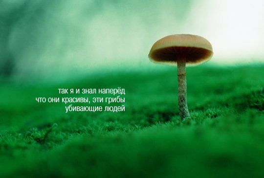 МЕГАПОДБОРКА