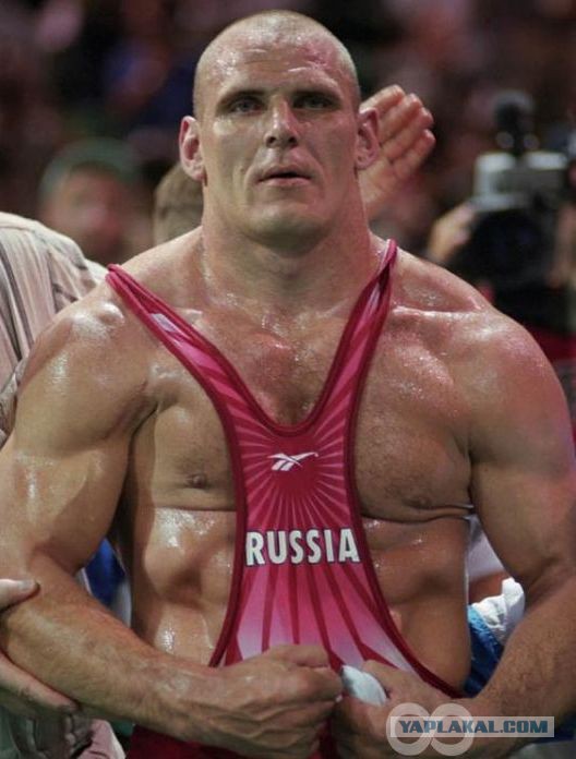 Норка vs рысь