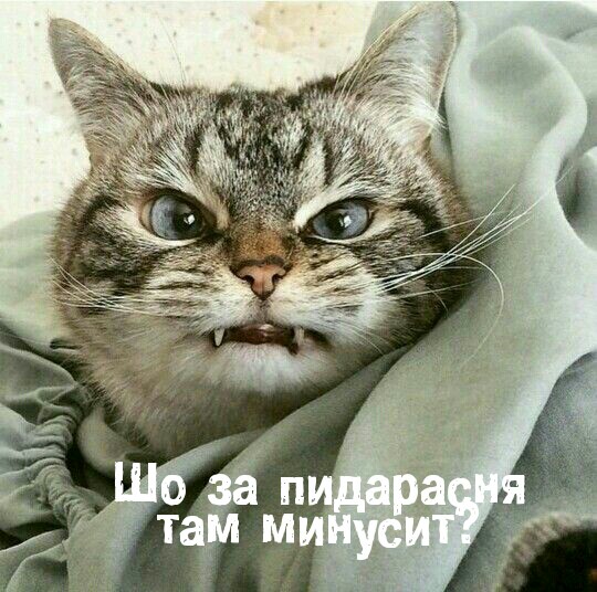Это вообще как понимать?