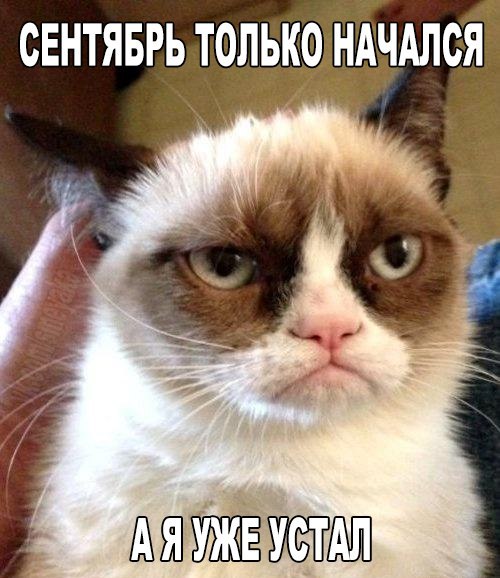 Картинки и приколы из сети