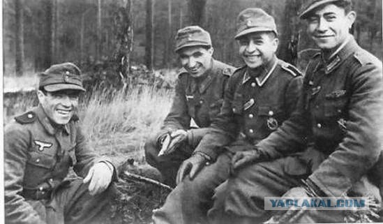 Почему Поклонская так непреклонна к крымским татарам