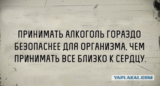 Алкогольный конец сентября