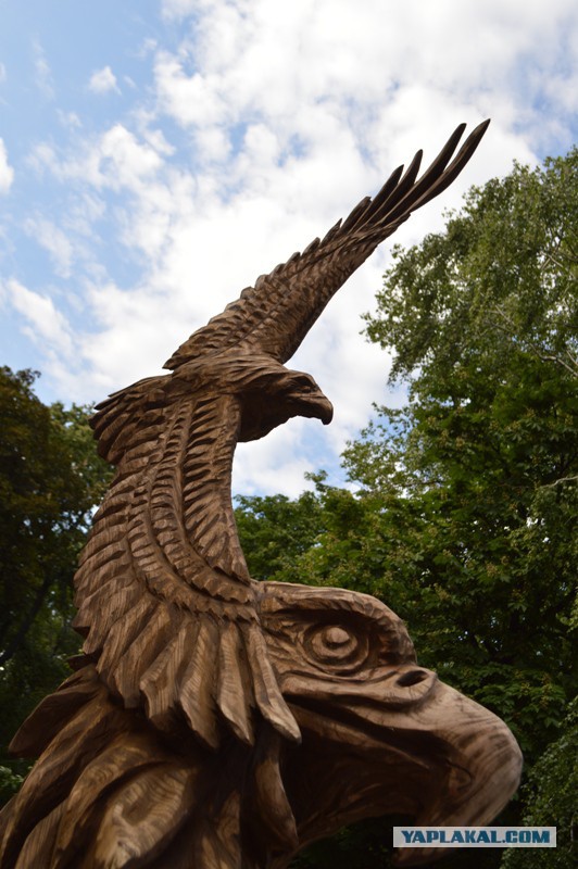 Обыкновенное свинство