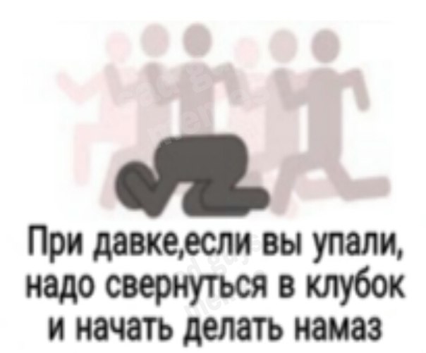 Некоторые наблюдения и высказывания