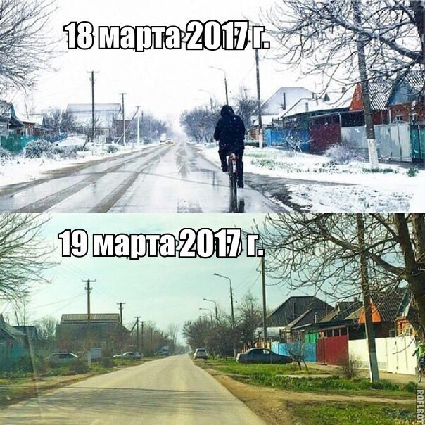 Подборка безудержного веселья