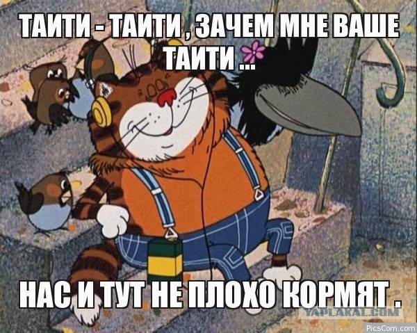 Как я остался без компьютера или сколько стоит вылечить котика