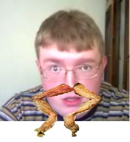 Сова с "усами"