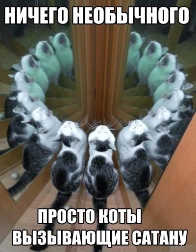 Немного картинок на сон грядущий