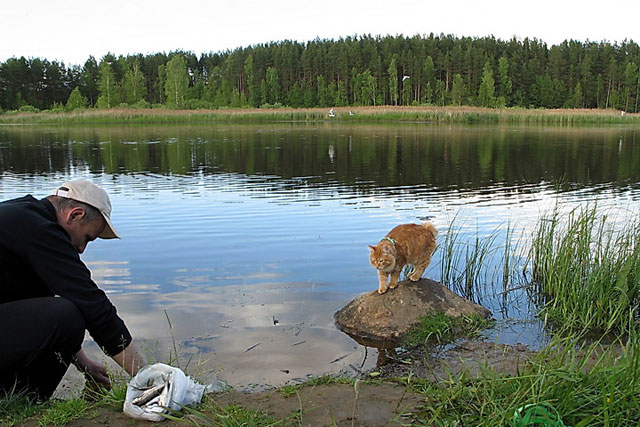 Котовторник  07.06.11