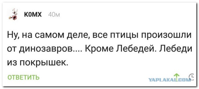 Каковы доказательства теории эволюции?