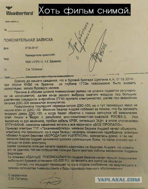 Картинки из этих ваших интернетов!
