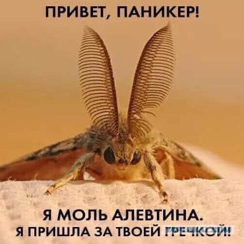 Заботливо собраный набор "всё для хомяков". Гении маркетинга и спрос на крупы и туалетную бумагу