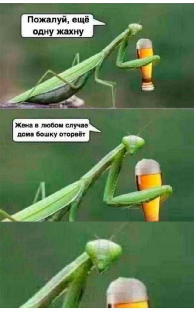 Бредзона 05.07.20