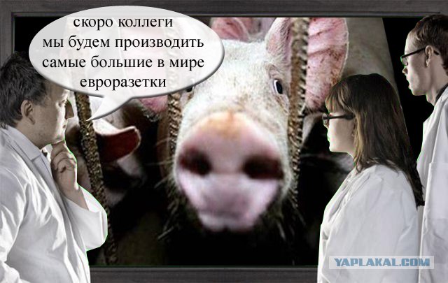 Фотожаба: Что увидели врачи?