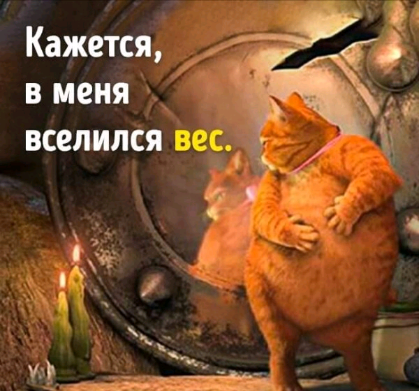 Рецепт для Апельсинии
