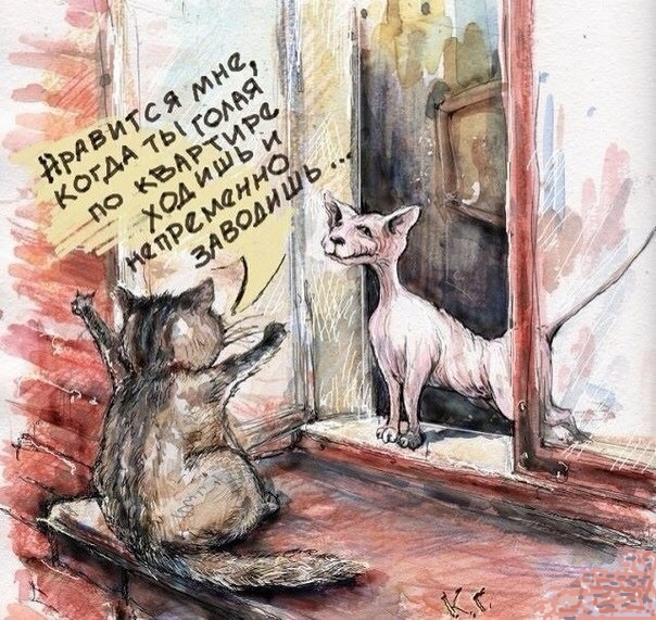 С котопятницей! Улыбнемся?