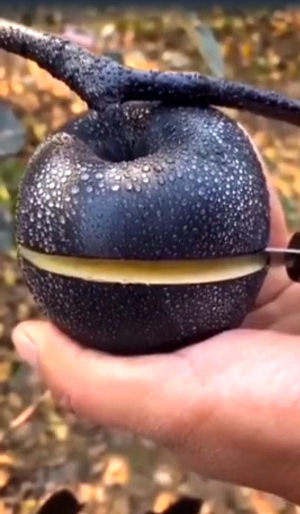 Черные яблоки и Призрачные