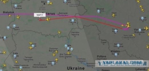 Стрим возвращения Навального из Берлина во Внуково