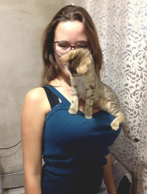 Картинки с котами и про котов