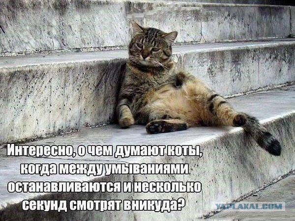 Так себе картинки 21.04.21