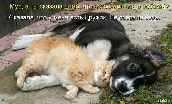 Так себе картинки 15.11.21
