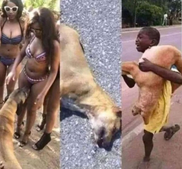 Бэушный джипег