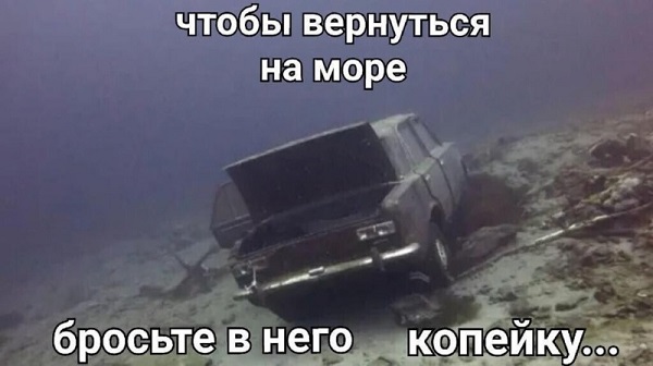 Так себе картинки 17.04.22