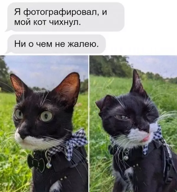 Картинки и мемы для настроения - 19