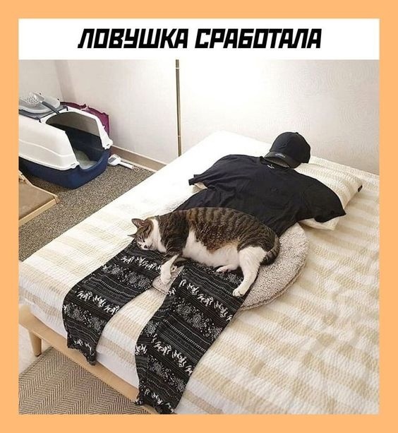 Так себе картинки 22.11.22