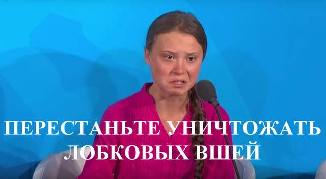 Мандавошки