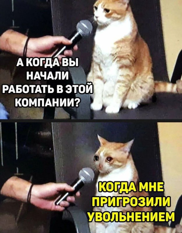 Картинки и мемы. Выходные близко...