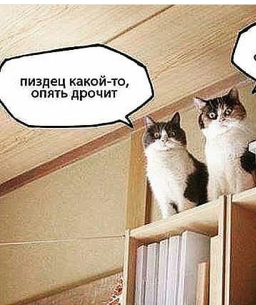 Доброе утро, Володя