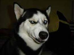 «Почему нельзя ловить рыбу в Большом Ахтанизовском лимане?»