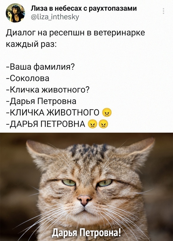 Весёлый полтишок 15.10.23