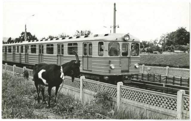 Фотографии из прошлого нашей страны - 42