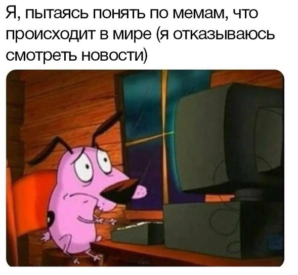 Всего понемногу. От 19.01.24